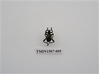 藏品(天牛科(一))的圖片